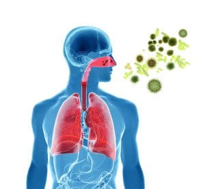 Pollen allergy / Hay fever/ Influenza infection