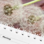 kalendarz pyłkowy